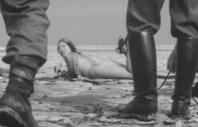 Japanese Summer: Double Suicide (1967)