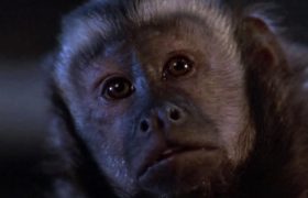 Monkey Shines (1988)