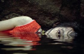 Sympathy for Mr. Vengeance (2002)