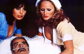 The Sensuous Nurse (1975)